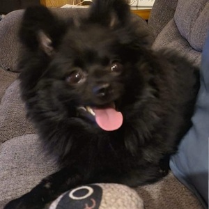 Fundraising Page: Jacqueline Baker